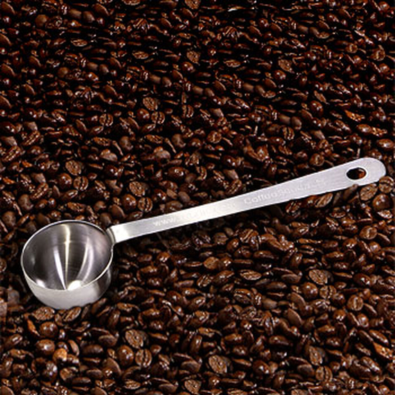 Zabar's Stainless Steel Coffee Scoop #231  large